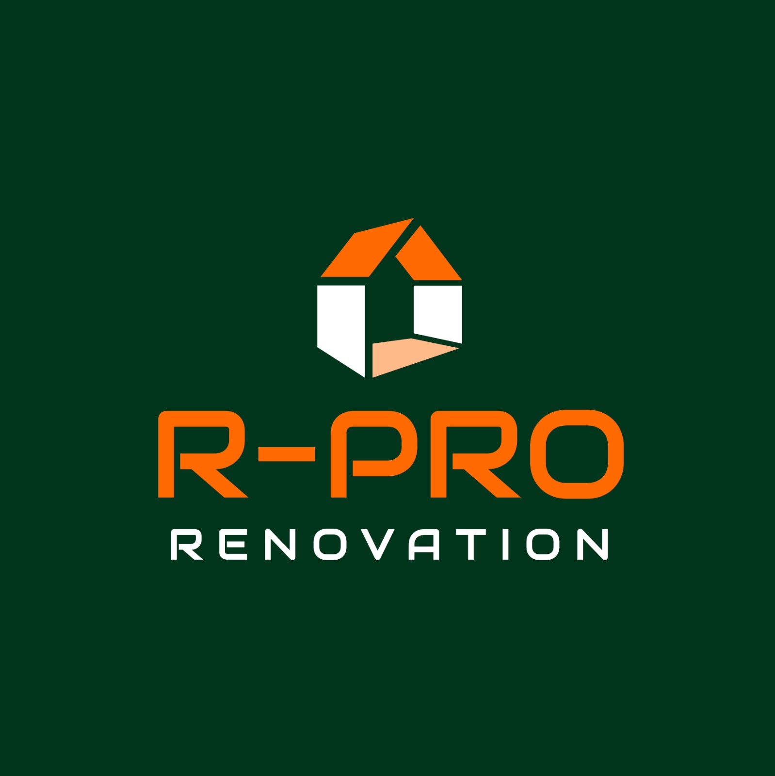 R-PRO RENOVATION LLC